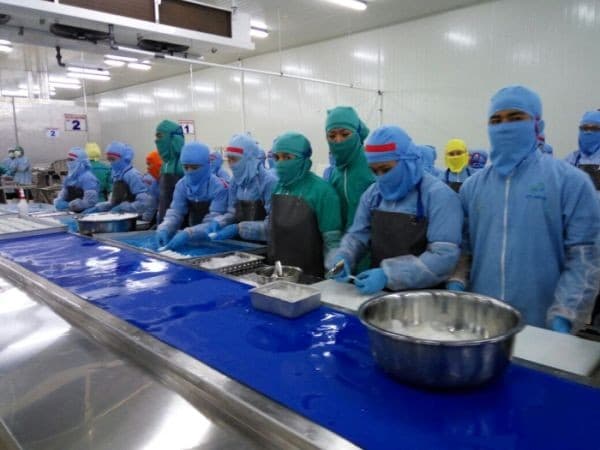 Begini Strategi Dua Putra (DPUM) Dongkrak Kinerja Bisnis Begini Strategi Dua Putra (DPUM) Dongkrak Kinerja Bisnis