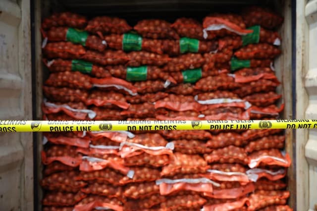 Mentan Musnahkan 72 Ton Bawang Bombai Impor Ilegal Berpenyakit Mentan Musnahkan 72 Ton Bawang Bombai Impor Ilegal Berpenyakit