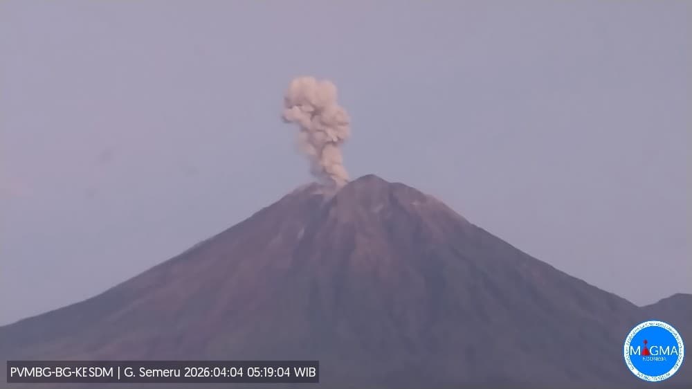 Gunung Semeru Erupsi Pagi Ini, Kolom Abu Setinggi 1.000 Meter Gunung Semeru Erupsi Pagi Ini, Kolom Abu Setinggi 1.000 Meter