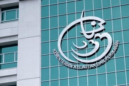 KKP Tangani 25 Kejadian Mamalia Terdampar di Timur RI, Jenis Paus Mendominasi KKP Tangani 25 Kejadian Mamalia Terdampar di Timur RI, Jenis Paus Mendominasi