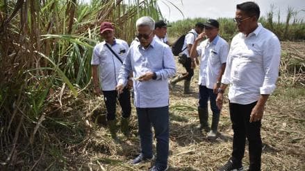 Holding Perkebunan Dorong PTPN Kejar Produksi 40 Ribu Ton Gula di 2023