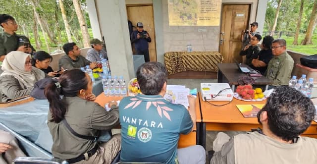 Kemenhut Gandeng India untuk Cegah Kematian Gajah Sumatra Akibat EEHV Kemenhut Gandeng India untuk Cegah Kematian Gajah Sumatra Akibat EEHV