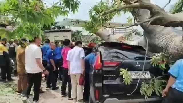 Pohon Besar Tumbang Timpa 2 Mobil di Hotel Bandar Lampung, 1 Orang Terluka Parah Pohon Besar Tumbang Timpa 2 Mobil di Hotel Bandar Lampung, 1 Orang Terluka Parah