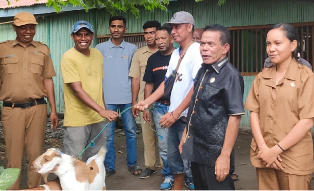 Atasi Kemiskinan, Politisi Perindo Berdayakan Warga Nagekeo dengan Bantuan Kambing Atasi Kemiskinan, Politisi Perindo Berdayakan Warga Nagekeo dengan Bantuan Kambing