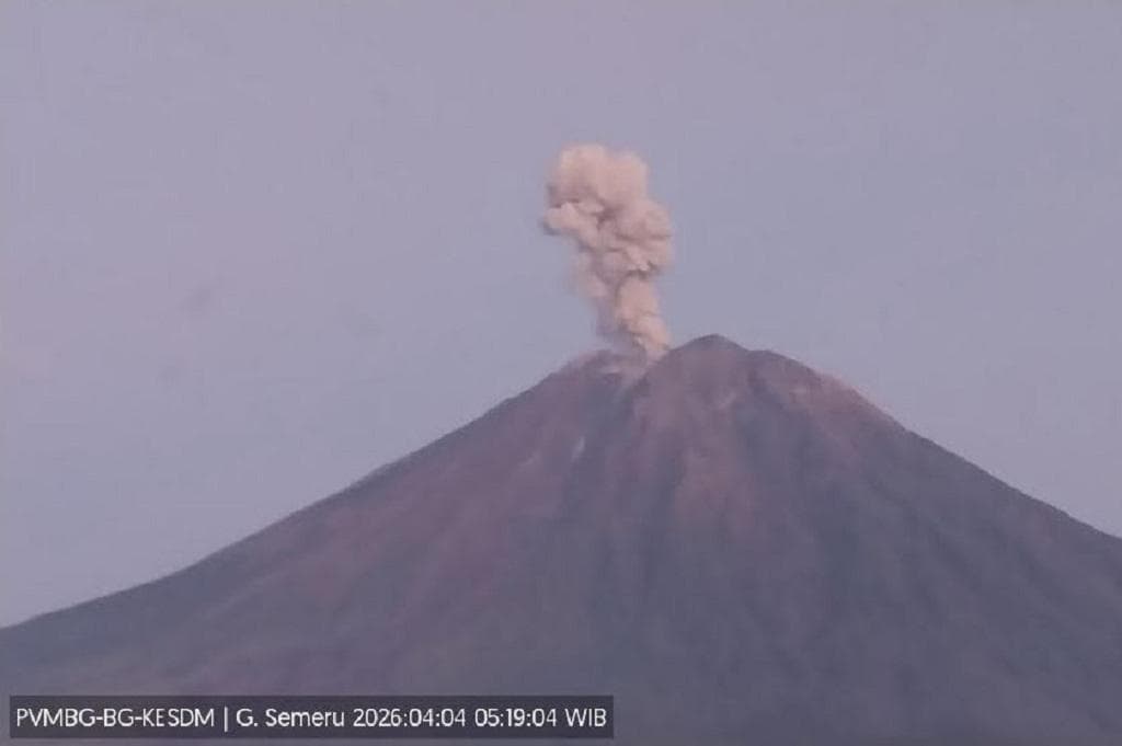 Gunung Semeru Meletus Hari Ini, Muntahkan Kolom Abu Setinggi 1.000 Meter Gunung Semeru Meletus Hari Ini, Muntahkan Kolom Abu Setinggi 1.000 Meter