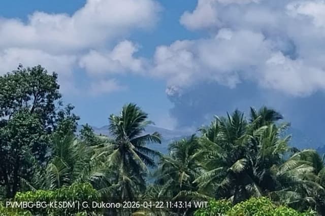 Gunung Dukono Kembali Erupsi, Semburkan Kolom Abu Setinggi 800 Meter Gunung Dukono Kembali Erupsi, Semburkan Kolom Abu Setinggi 800 Meter