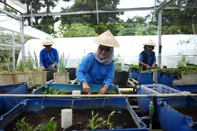 Dari Kartini untuk Bumi, BRI Berdayakan Perempuan lewat Urban Farming BRInita Dari Kartini untuk Bumi, BRI Berdayakan Perempuan lewat Urban Farming BRInita