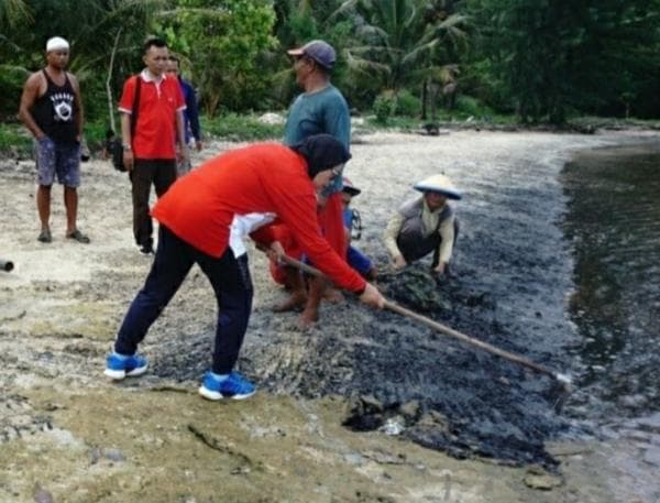 Pembukaan Tambak Udang Baru di Karimunjawa Distop, Ini Alasannya