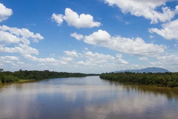 Cerita Misteri Amazon Hutan Paling Misterius di Dunia, Berani Datang Kesini?