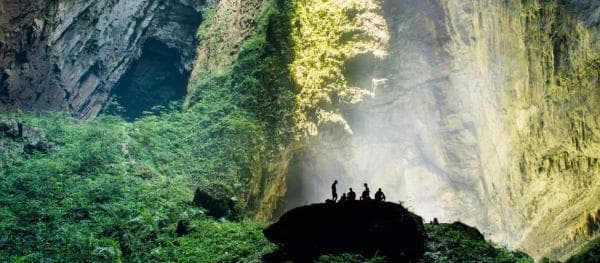 7 Hutan Terindah di Dunia Bak Negeri Dongeng, Nomor 3 Seperti Masuk ke Dunia Lain