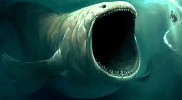 Kisah Ikan Nun Nabi Yunus AS, Sebuah Temuan di Meksiko Indikasikan Masih Hidup Kisah Ikan Nun Nabi Yunus AS, Sebuah Temuan di Meksiko Indikasikan Masih Hidup