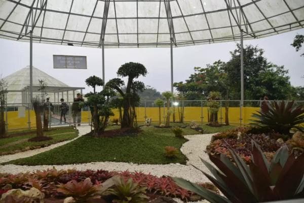 Taman Botani, Destinasi Baru Baturraden, Tarif Promo Tiket Hanya Rp10 Ribu