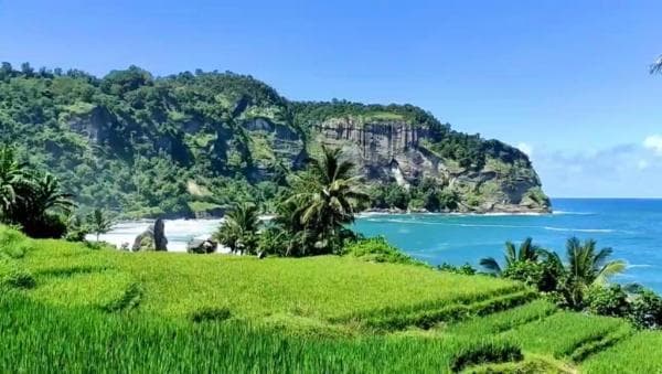 Keindahan Pantai Pangasan Pacitan Cocok untuk Liburan Tahun Baru