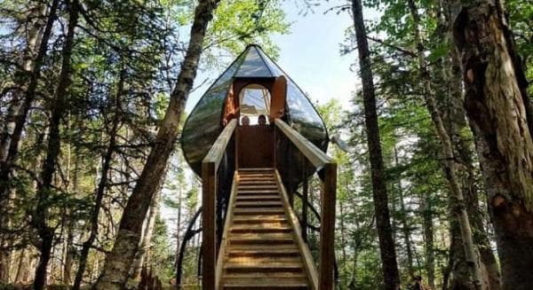 Mirip Hotel, Rumah Pohon Tertinggi Ini Beri Rasa Aman Bagi Pengunjung Mirip Hotel, Rumah Pohon Tertinggi Ini Beri Rasa Aman Bagi Pengunjung