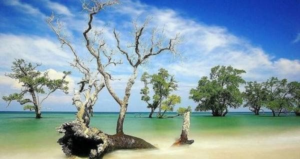 Menikmati Pasir Putih di Pantai Lhok Mee Aceh Menikmati Pasir Putih di Pantai Lhok Mee Aceh
