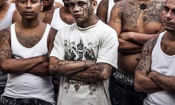 Deretan Mafia Paling Ditakuti di Dunia, Ada yang Memuja Setan Deretan Mafia Paling Ditakuti di Dunia, Ada yang Memuja Setan