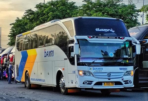 Untuk Mudik Lebaran, Damri Sediakan 56 Juta Kursi dan Bisa Pesan Tiket dari Sekarang Untuk Mudik Lebaran, Damri Sediakan 56 Juta Kursi dan Bisa Pesan Tiket dari Sekarang