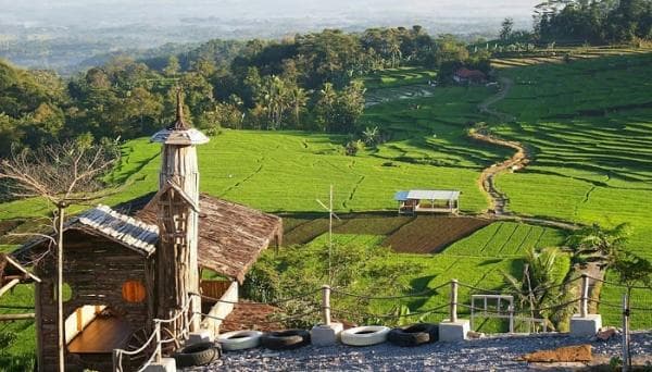 Ciboer Pass, Wisata Alam Majalengka dengan Pesona Eksotis Sawah Terasering Mirip di Ubud