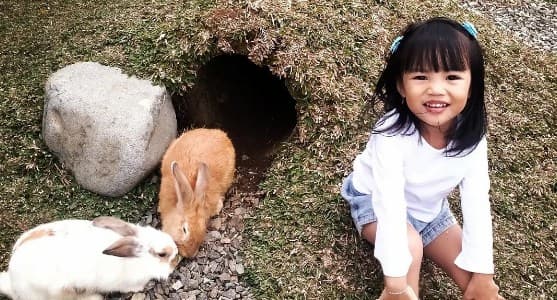 Tepi Kota Healing, Tempat Wisata Baru di Bandung Cocok untuk Keluarga