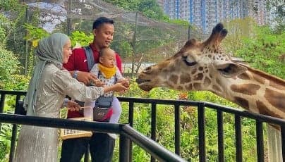 Liburan Akhir Pekan, Coba Ajak si Kecil Melihat Kura-Kura di Bandung Zoo Liburan Akhir Pekan, Coba Ajak si Kecil Melihat Kura-Kura di Bandung Zoo