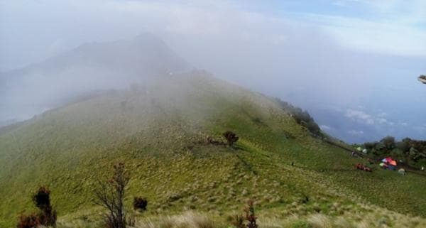 Mitos Mengerikan Gunung Merbabu, Pendaki Perhatian Hal Ini Agar Tak Bertemu Setan Gendong