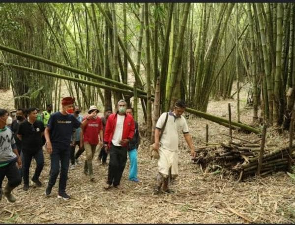 Solusi Mencegah Banjir dan Longsong Pulau Bawean Ditemukan, Ini Kata Pakar Perkumpulan Konservasi