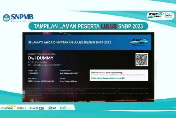 143.805 Peserta SNBP 2023 Dinyatakan Lolos, Begini Tampilan Layar yang Diterima