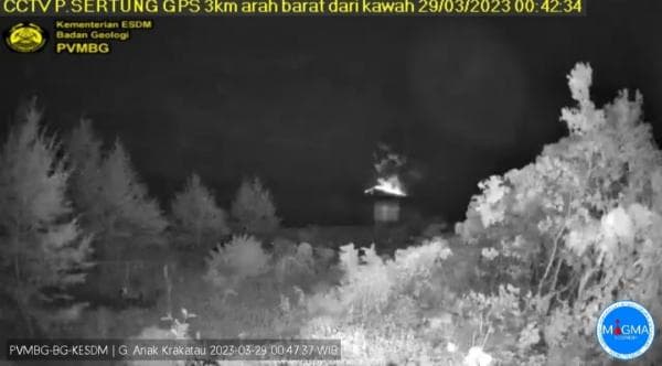 Gunung Anak Krakatau Kembali Erupsi, Ketinggian Abu 600 Meter Gunung Anak Krakatau Kembali Erupsi, Ketinggian Abu 600 Meter