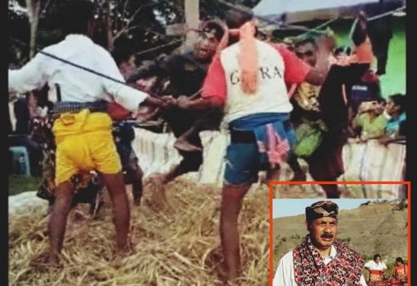 Mengenal Tradisi Parina di Sumba Timur, Merontokkan Bulir Padi dengan Injakan Kaki Diiring lagu Adat Mengenal Tradisi Parina di Sumba Timur, Merontokkan Bulir Padi dengan Injakan Kaki Diiring lagu Adat