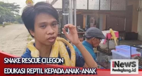 Snake Recue Cilegon Ajak Anak Lebih Mengenal Dunia Reptil Snake Recue Cilegon Ajak Anak Lebih Mengenal Dunia Reptil