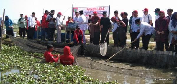 Mengenal Potensi Besar Perikanan Kabupaten Indramayu