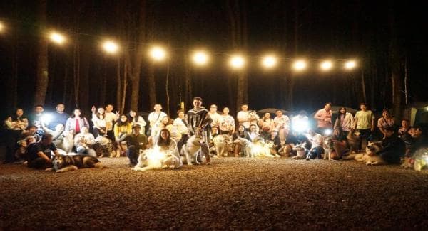 Intip Kemewahan Pesta Ulang Tahun Kimo Everest, Anjing Jenis Alaskan Malamute White Intip Kemewahan Pesta Ulang Tahun Kimo Everest, Anjing Jenis Alaskan Malamute White