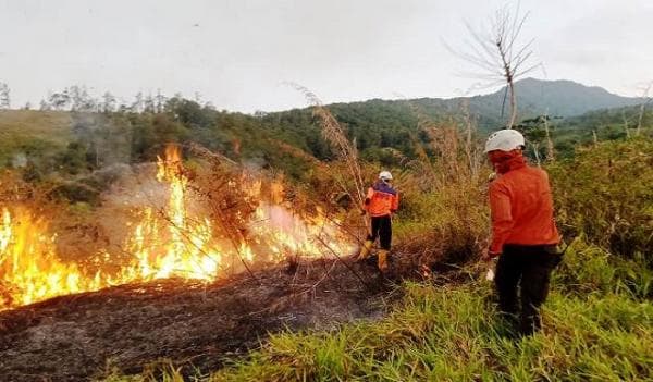 Ada Lima Titik Kebakaran Hutan dan Lahan di Sumedang saat Musim Kemarau 2023