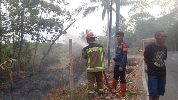 Pembakaran Sampah Akibatkan Lahan Kering di Selaawi Garut Kebakaran