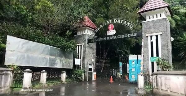 Harga Tiket Masuk Berserta Jam Operasional Kebun Raya Cibodas Harga Tiket Masuk Berserta Jam Operasional Kebun Raya Cibodas