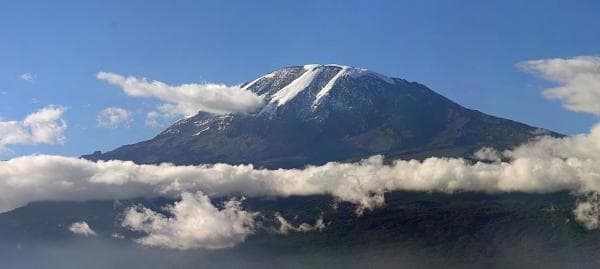 Fakta Unik Gunung Kilimanjaro, Pohon Berusia Ratusan Tahun di Gunung Tertinggi Benua Afrika Fakta Unik Gunung Kilimanjaro, Pohon Berusia Ratusan Tahun di Gunung Tertinggi Benua Afrika
