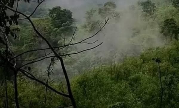 Kisah Mistis Alas Gumitir, Tempat Terangker hingga Disebut Pasar Setan Kisah Mistis Alas Gumitir, Tempat Terangker hingga Disebut Pasar Setan