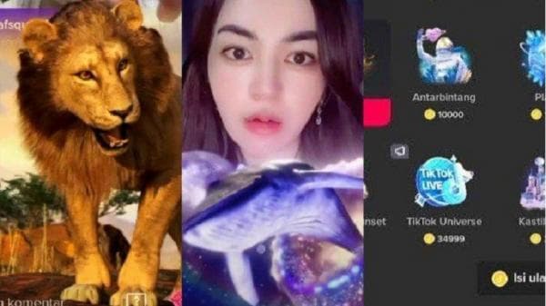 Begini Cara Menukar Koin TikTok jadi Uang Begini Cara Menukar Koin TikTok jadi Uang