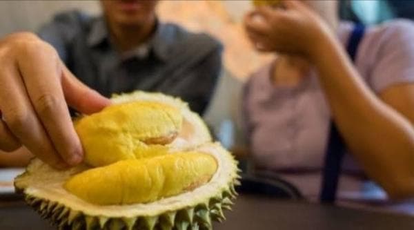 6 Arti Mimpi Makan Durian, Bisa Jadi Pertanda Baik Dan Buruk. Ada Hubungannya Dengan Rezeki? 6 Arti Mimpi Makan Durian, Bisa Jadi Pertanda Baik Dan Buruk. Ada Hubungannya Dengan Rezeki?