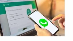 5 Kesalahan Pengguna Akun WhatsApp hingga Terkena Spam
