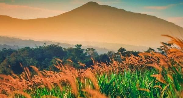 Keindahan Bukit Wangun, Spot Terbaik Berburu Panorama Sunrise dan Sunset yang Eksotis di Bogor Keindahan Bukit Wangun, Spot Terbaik Berburu Panorama Sunrise dan Sunset yang Eksotis di Bogor
