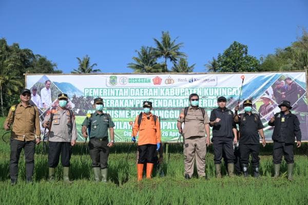 Cegah Gagal Panen, Dinas Pertanian Bantu Petani Kuningan Berantas Hama Padi