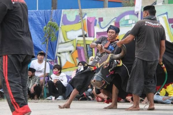 Mengenal Seni Tradisional Bantengan Khas Kota Batu Mengenal Seni Tradisional Bantengan Khas Kota Batu