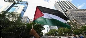 Jamin Perdamaian di Timur Tengah, Pakar PBB Desak Semua Negara Akui Negara Palestina