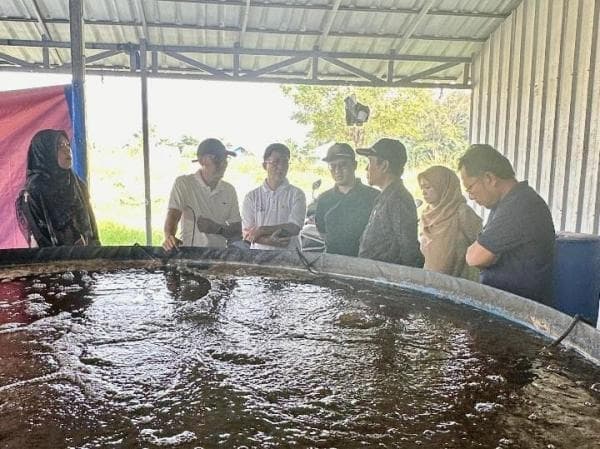 PLN Indonesia Power UBP Cilegon Antusias untuk Mengembangkan Program Ketahanan Pangan Desa Argawana