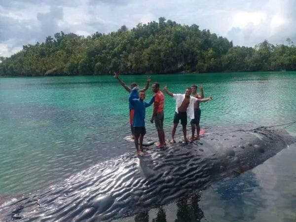 Bangkai Paus Raksasa Ditemukan Mati dan Terdampar di Perairan Misool Timur Raja Ampat