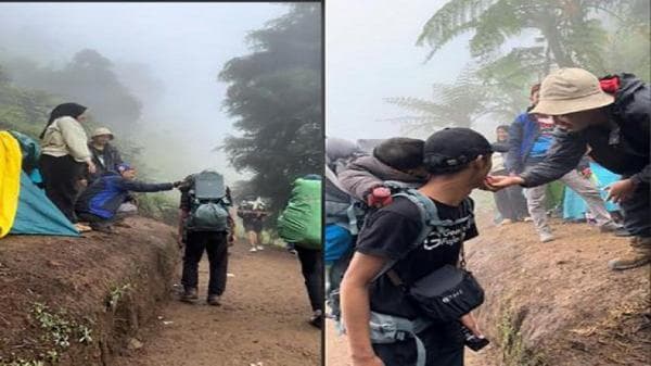 Viral, Balita Ikut Ortu Mendaki Gunung Prau di Jawa Tengah Jadi Sorotan Netizen