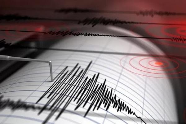 Gempa Bumi Alor Berkekuatan M5,2  BMKG Ungkap Penyebabnya