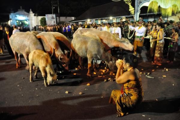 Peringati Malam 1 Suro, Keraton Kasunanan Surakarta Gelar Kirab