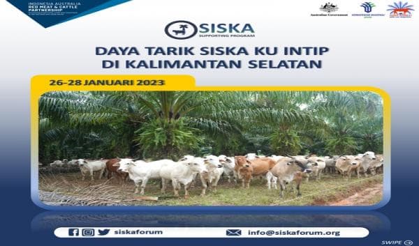 3 Program Pemerintah Memakai Nama Nyeleneh, No 3  SISKA KU INTIP Andalan Kalimantan Selatan 